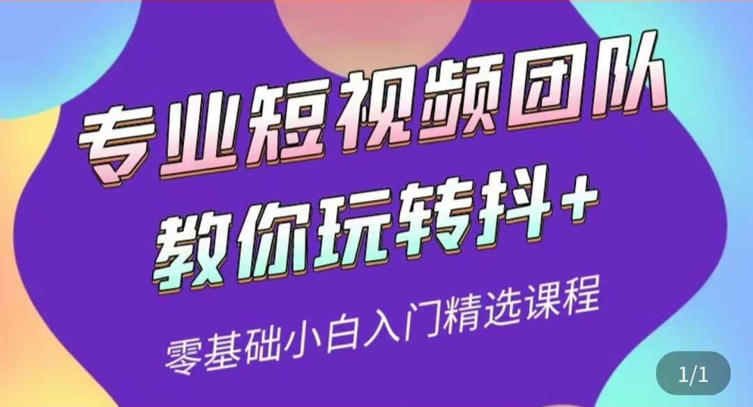 专业短视频团队教你玩转抖+0基础小白入门精选课程（价值399元）-飞鱼网创