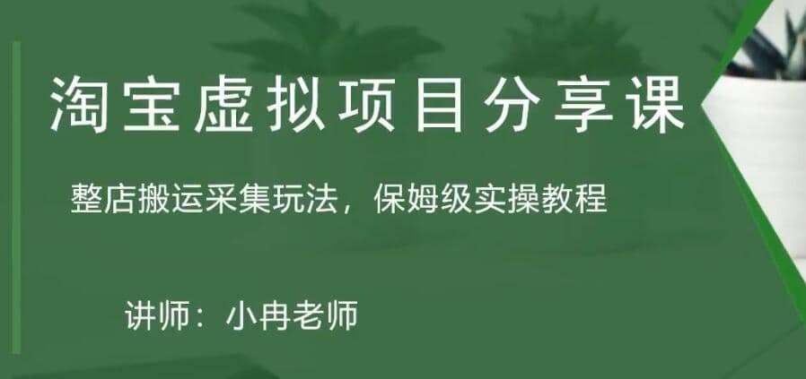 淘宝虚拟整店搬运采集玩法分享课：整店搬运采集玩法，保姆级实操教程-飞鱼网创