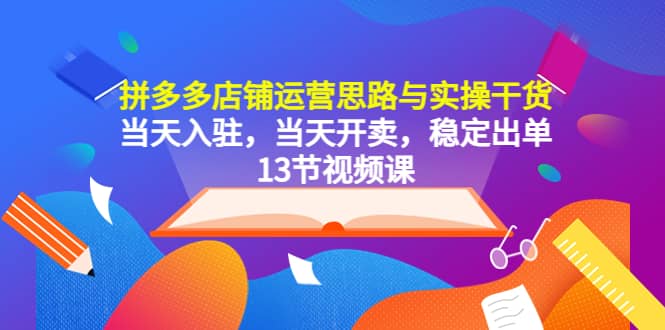 拼多多店铺运营思路与实操干货，当天入驻，当天开卖，稳定出单（13节课）-飞鱼网创