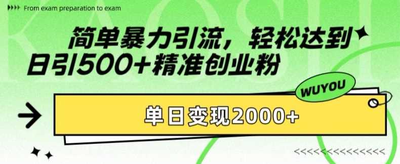 简单暴力引流轻松达到日引500+精准创业粉，单日变现2k【揭秘】-飞鱼网创