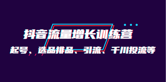 月销1.6亿实操团队·抖音流量增长训练营：起号、选品排品、引流 千川投流等-飞鱼网创