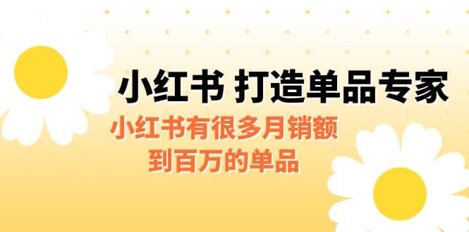 某公众号付费文章《小红书 打造单品专家》小红书有很多月销额到百万的单品-飞鱼网创