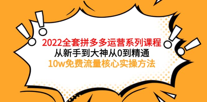 2022全套拼多多运营课程，从新手到大神从0到精通，10w免费流量核心实操方法-飞鱼网创