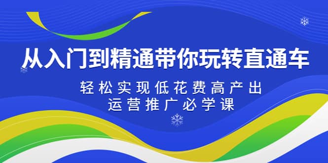 从入门到精通带你玩转直通车：轻松实现低花费高产出，35节运营推广必学课-飞鱼网创