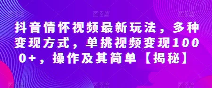 抖音情怀视频最新玩法，多种变现方式，单挑视频变现1000+，操作及其简单【揭秘】-飞鱼网创