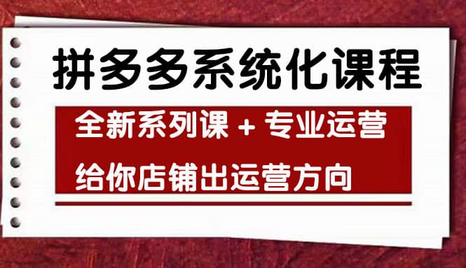 车神陪跑，拼多多系统化课程，全新系列课+专业运营给你店铺出运营方向-飞鱼网创