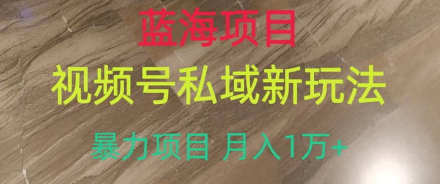 蓝海项目，视频号私域新玩法，暴力项目月入1万+【揭秘】-飞鱼网创