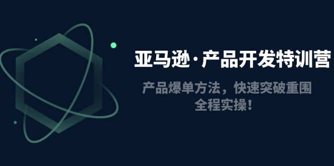 亚马逊·产品开发特训营：产品爆单方法，快速突破重围，全程实操-飞鱼网创