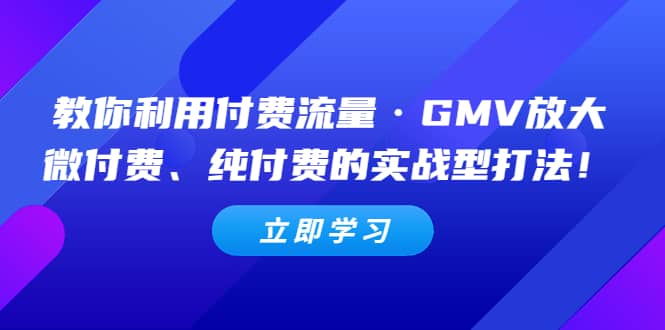 教你利用付费流量·GMV放大，微付费、纯付费的实战型打法-飞鱼网创