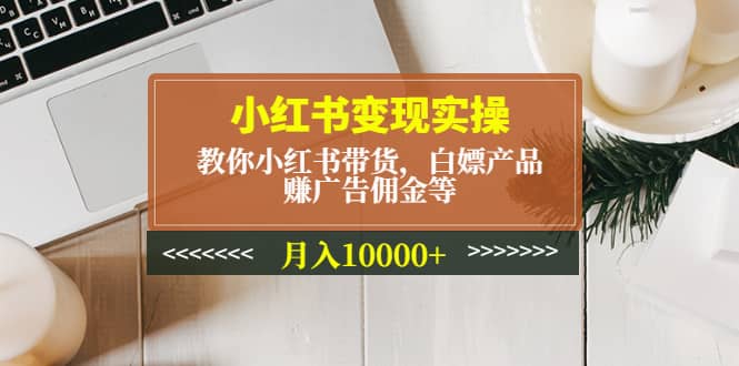 小红书变现实操：教你小红书带货，白嫖产品，赚广告佣金等-飞鱼网创