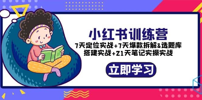 小红书训练营：7天定位实战+7天爆款拆解+选题库搭建实战+21天笔记实操实战-飞鱼网创