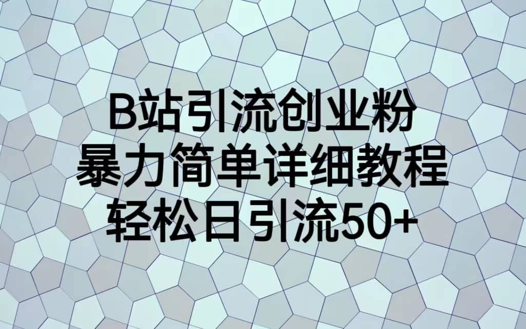 B站引流创业粉，暴力简单详细教程，轻松日引流50+-飞鱼网创