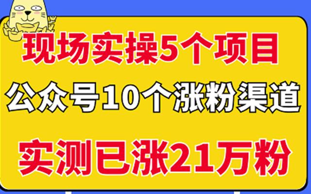 现场实操5个公众号项目，10个涨粉渠道，实测已涨21万粉！-飞鱼网创