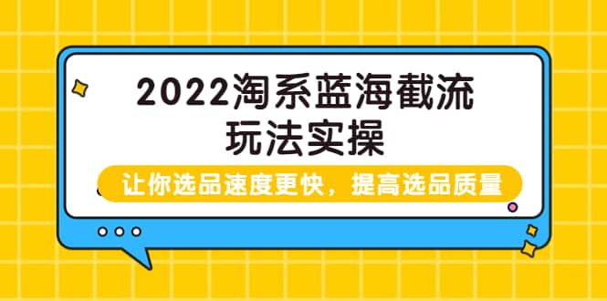 2022淘系蓝海截流玩法实操：让你选品速度更快，提高选品质量（价值599）-飞鱼网创