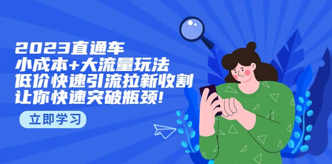 2023直通小成本+大流量玩法，低价快速引流拉新收割，让你快速突破瓶颈-飞鱼网创