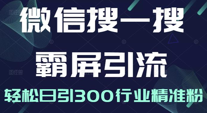 微信搜一搜霸屏引流课，打造被动精准引流系统，轻松日引300行业精准粉【无水印】-飞鱼网创