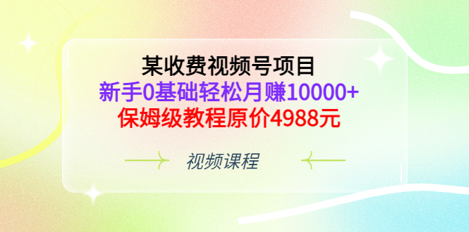 某收费视频号项目，新手0基础轻松月赚10000+，保姆级教程原价4988元-飞鱼网创