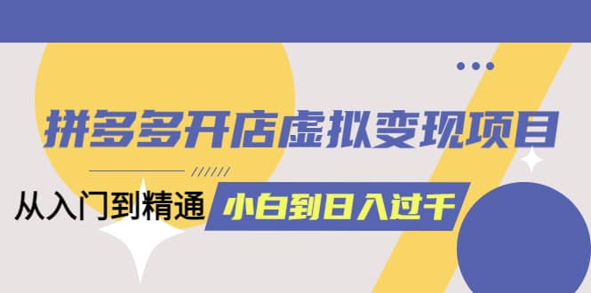 拼多多开店虚拟变现项目：入门到精通 从小白到日入1000（完整版）4月10更新-飞鱼网创