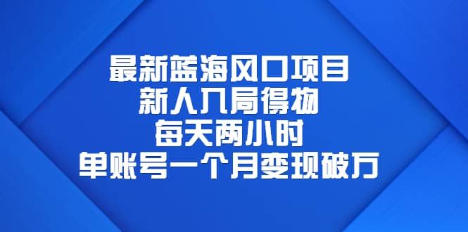 最新蓝海风口项目，新人入局得物，每天两小时，单账号一个月变现破万-飞鱼网创