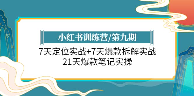 小红书训练营/第九期：7天定位实战+7天爆款拆解实战，21天爆款笔记实操-飞鱼网创