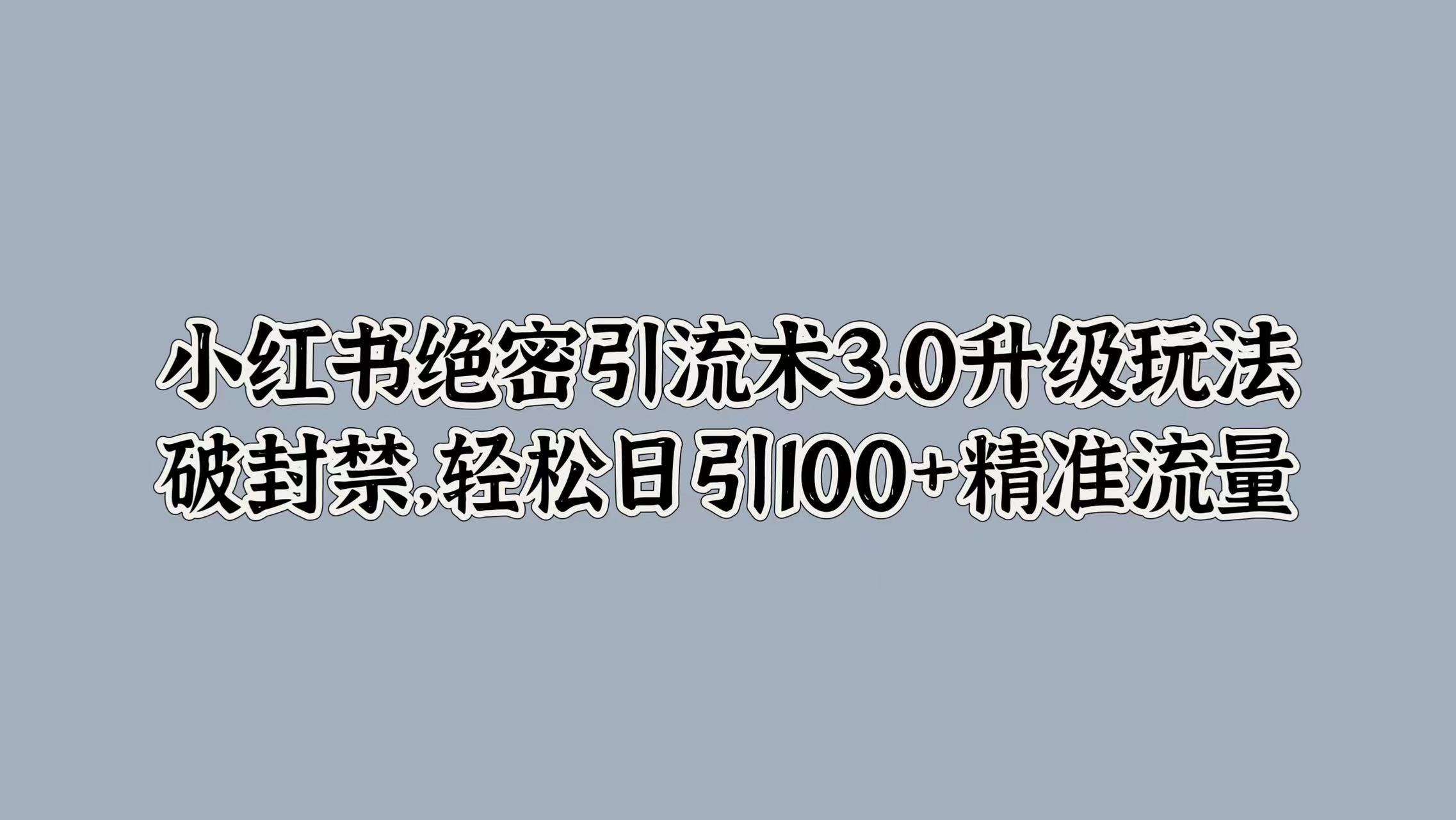 小红书绝密引流术3.0升级玩法，破封禁，轻松日引100+精准流量-飞鱼网创