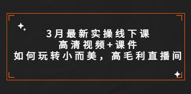 3月最新实操线下课高清视频+课件，如何玩转小而美，高毛利直播间-飞鱼网创