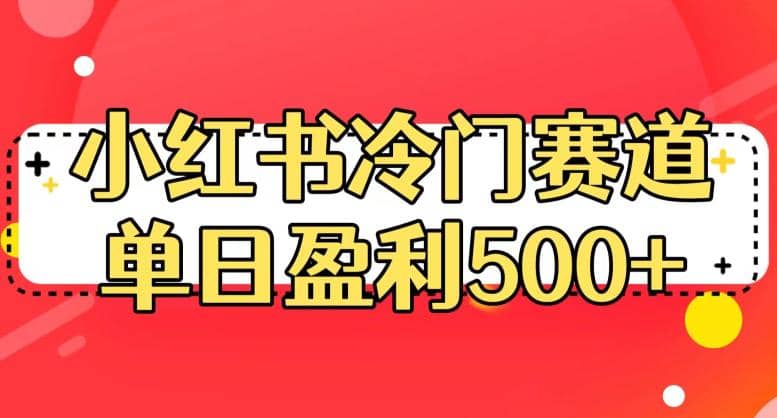 小红书冷门赛道，单日盈利500+【揭秘】-飞鱼网创