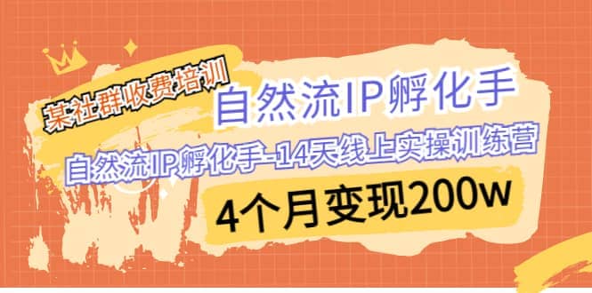 某社群收费培训：自然流IP 孵化手-14天线上实操训练营 4个月变现200w-飞鱼网创