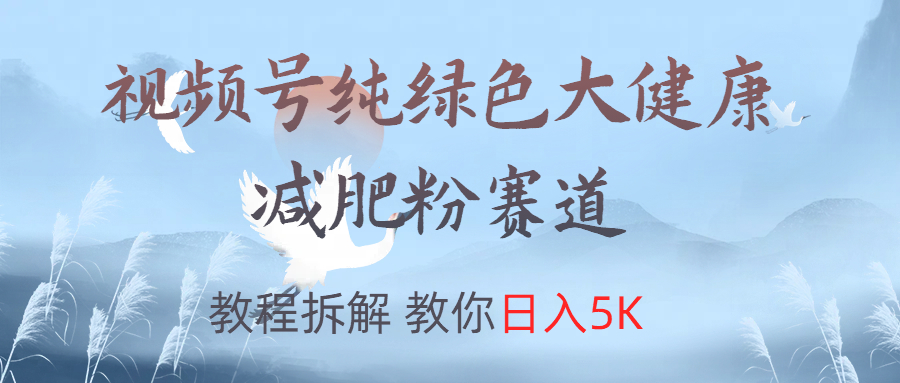 视频号纯绿色大健康粉赛道，教程拆解，教你日入5K-飞鱼网创