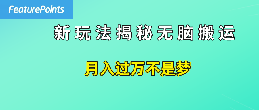 简单操作，每天50美元收入，搬运就是赚钱的秘诀！-飞鱼网创