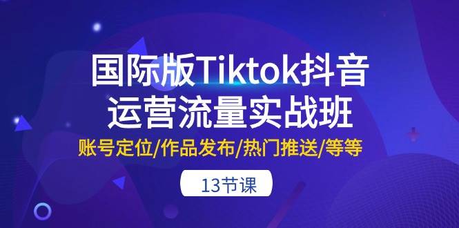 国际版Tiktok抖音运营流量实战班：账号定位/作品发布/热门推送/等等-13节-飞鱼网创