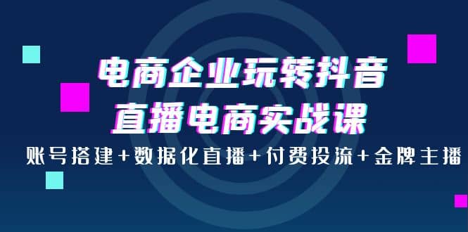 电商企业玩转抖音直播电商实战课：账号搭建+数据化直播+付费投流+金牌主播-飞鱼网创