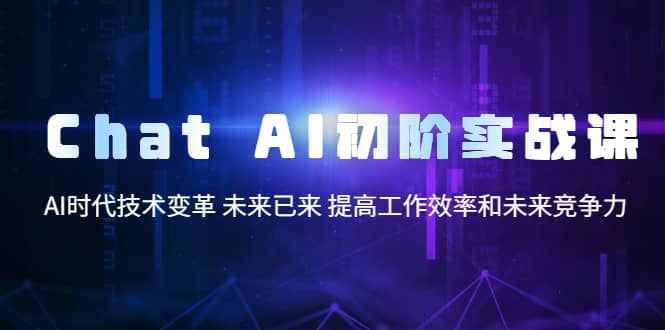 Chat AI初阶实战课，AI时代技术变革 未来已来 提高工作效率和未来竞争力-飞鱼网创