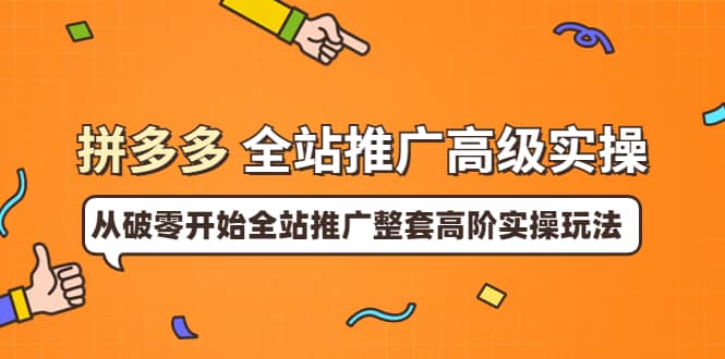 拼多多全站推广高级实操：从破零开始全站推广整套高阶实操玩法-飞鱼网创