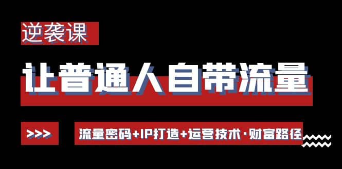 让普通人自带流量的逆袭课：流量密码+IP打造+运营技术·财富路径-飞鱼网创