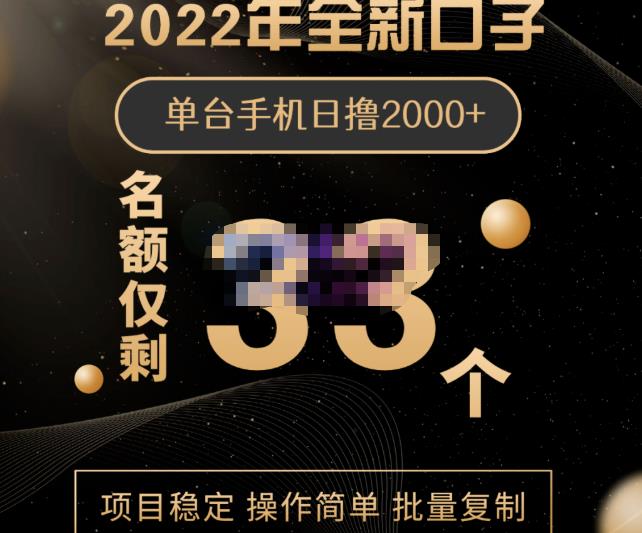 2022年全新口子，手机批量搬砖玩法，一部手机日撸2000+-飞鱼网创