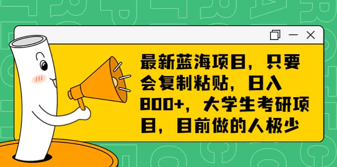 最新蓝海项目，只要会复制粘贴，日入800+，大学生考研项目，目前做的人极少-飞鱼网创