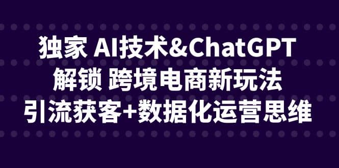 独家 AI技术ChatGPT解锁 跨境电商新玩法，引流获客+数据化运营思维-飞鱼网创