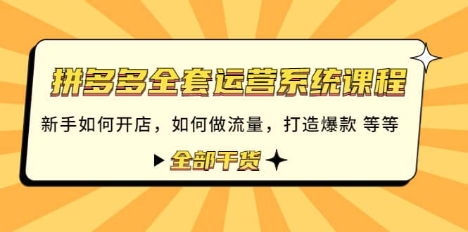 拼多多全套运营系统课程：新手如何开店 如何做流量 打造爆款 等等 全部干货-飞鱼网创