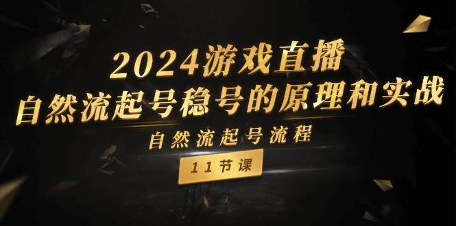 2024游戏直播-自然流起号稳号的原理和实战，自然流起号流程（11节）-飞鱼网创