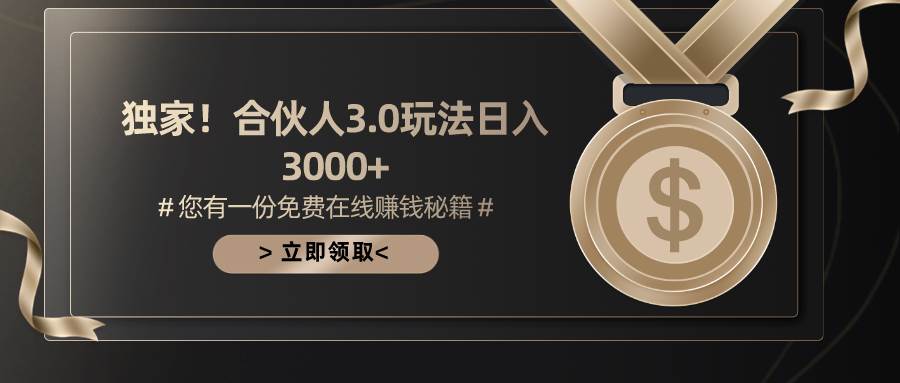 游戏合伙人3.0，日入3000+，无限扩大的蓝海项目-飞鱼网创