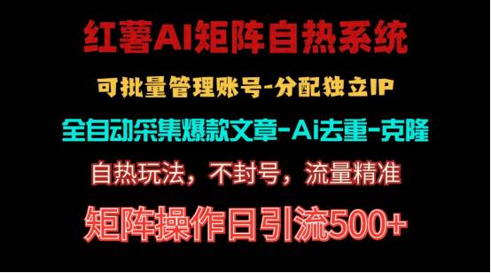 红薯矩阵自热系统，独家不死号引流玩法！矩阵操作日引流500+-飞鱼网创