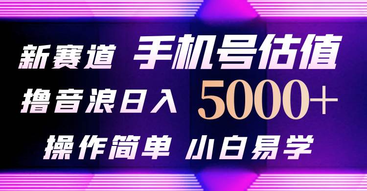 抖音不出境直播【手机号估值】最新撸音浪，日入5000+，简单易学，适合…-飞鱼网创