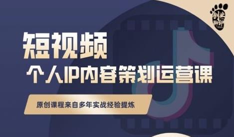 抖音短视频个人ip内容策划实操课，真正做到普通人也能实行落地-飞鱼网创