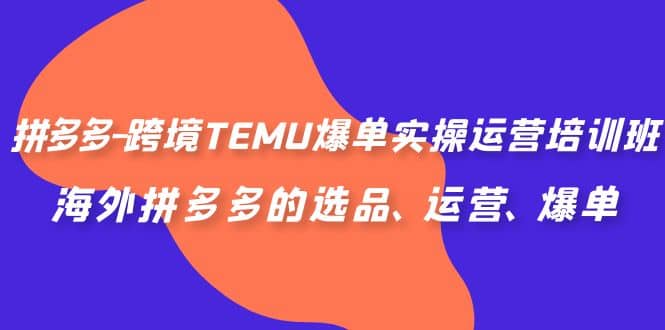 拼多多-跨境TEMU爆单实操运营培训班，海外拼多多的选品、运营、爆单-飞鱼网创