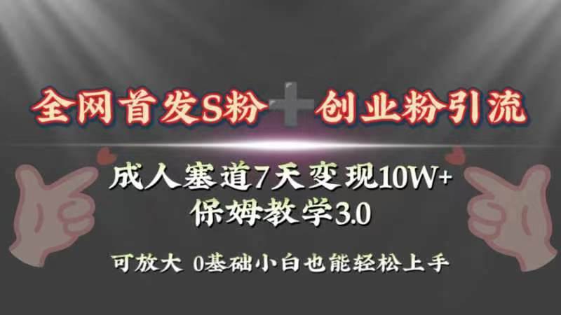 全网首发s粉加创业粉引流变现，成人用品赛道7天变现10w+保姆教学3.0-飞鱼网创