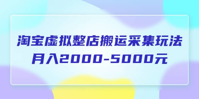 淘宝虚拟整店搬运采集玩法分享课：月入2000-5000元（5节课）-飞鱼网创