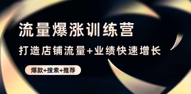 流量爆涨训练营：打造店铺流量+业绩快速增长 (爆款+搜索+推荐)-飞鱼网创