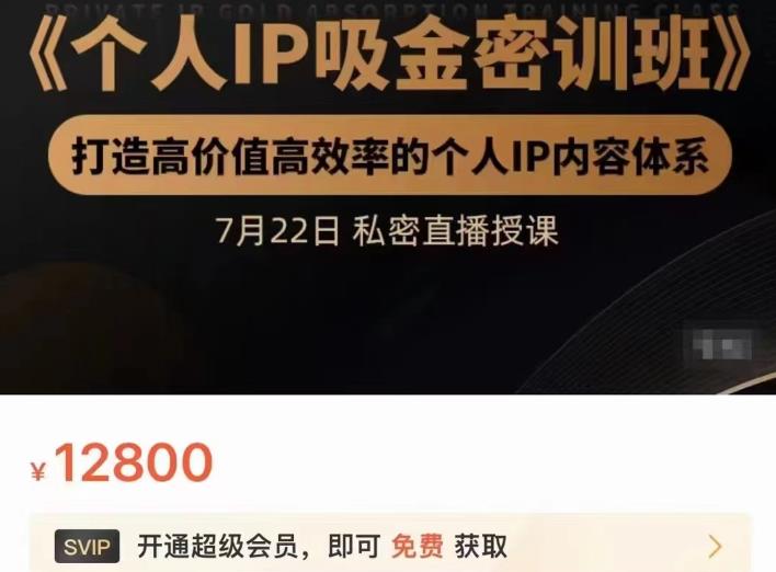 个人IP吸金密训班，打造高价值高效率的个人IP内容体系（价值12800元）-飞鱼网创