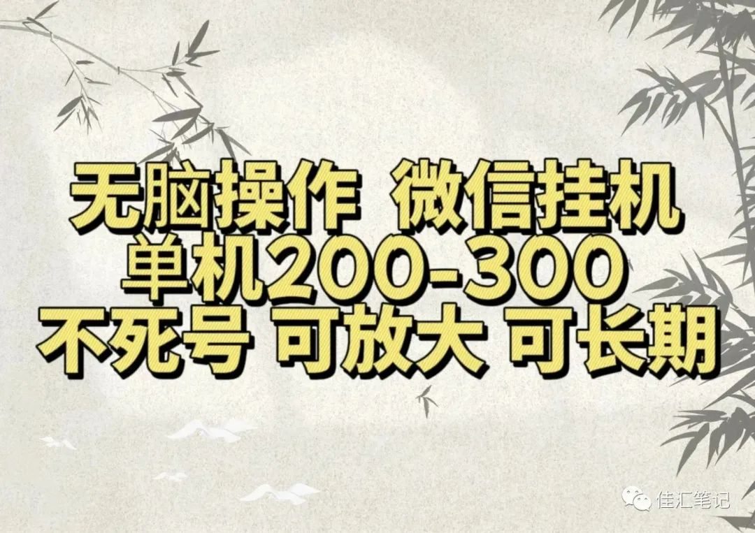 无脑操作微信视频号挂机单机200-300一天，不死号，可放大，工作室实测-飞鱼网创